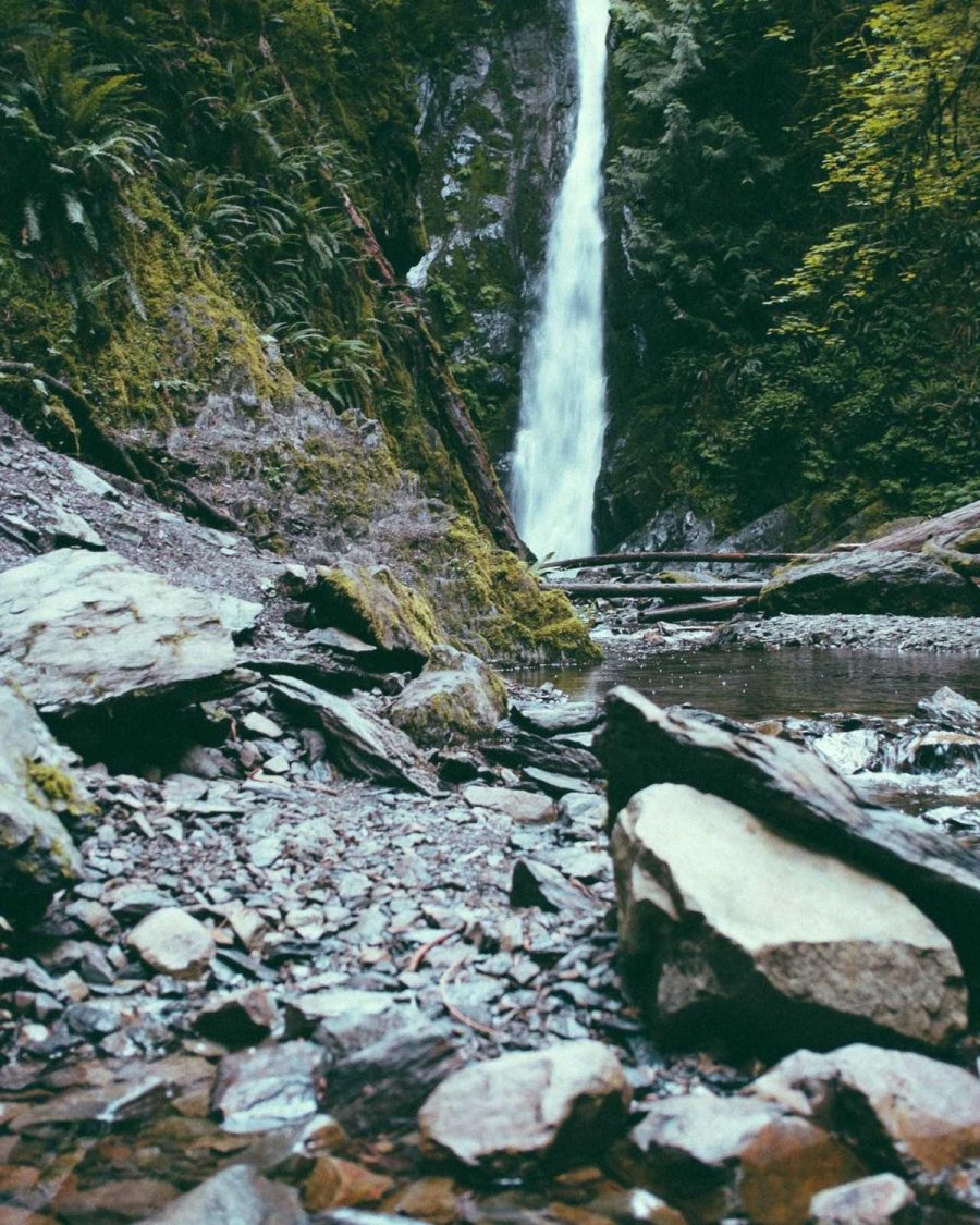 Analog feel · Demo (Unsplash / Picsum)